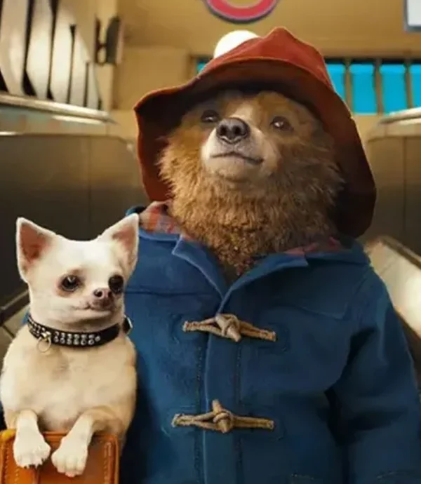 Paddington Bear Blue Duffle Coat